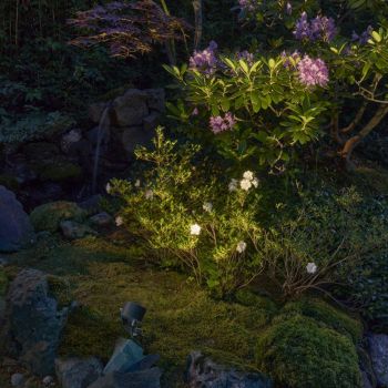 Moss Prikspot Zwart LED 8W 3000K Compact Rond - Tuinspot